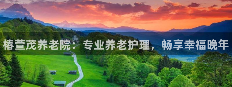 韦德1946游戏