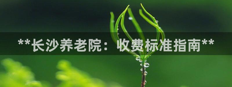 韦德游戏大厅