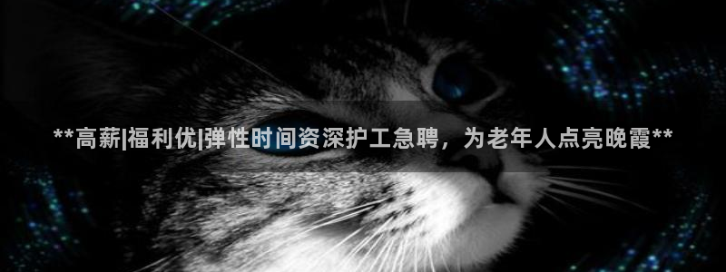 韦德1946网址