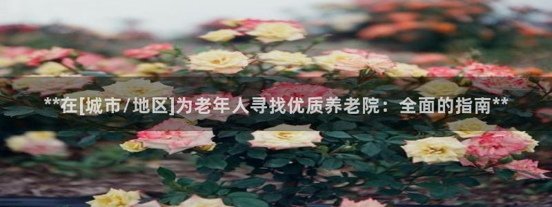 韦德 网站