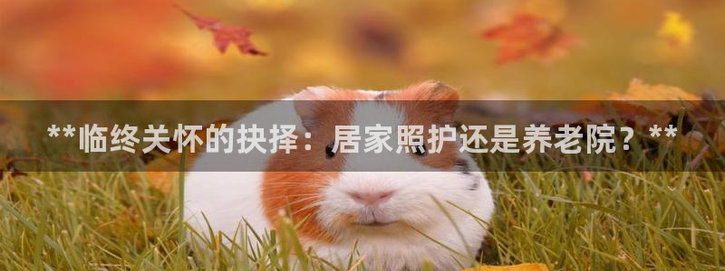 韦德1946源自英国