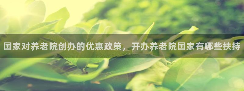 韦德游戏是什么
