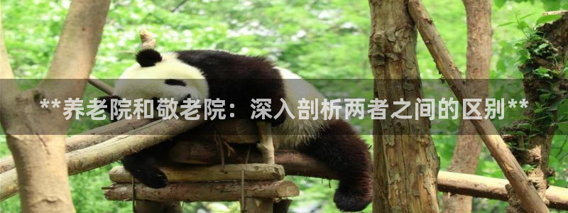 韦德惨案