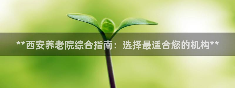 韦德1946网址