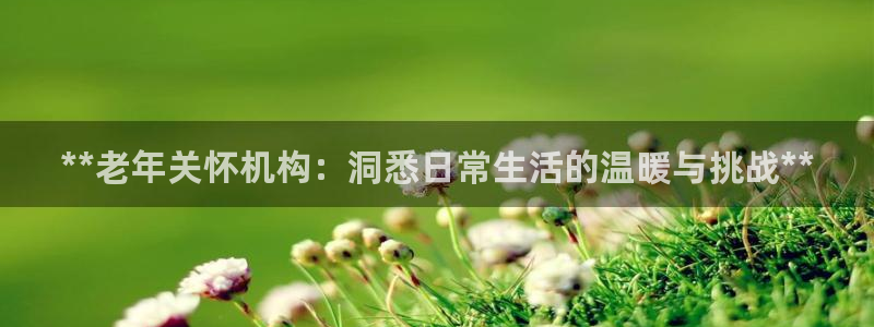 韦德2014