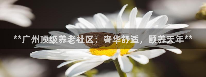 韦德属于什么