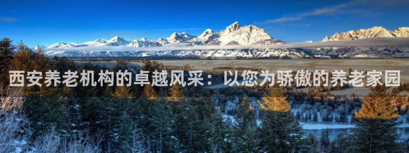 韦德app官方网站