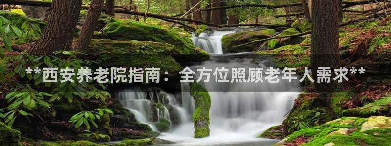 1946 韦德