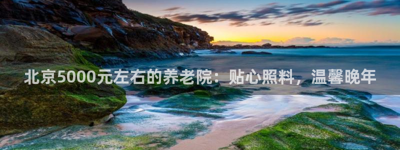 韦德bietview官网