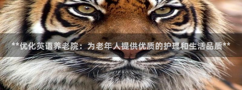 韦德是哪个