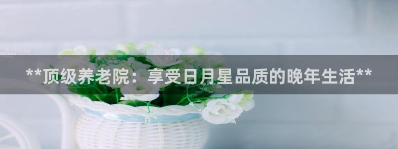 韦德1946国际