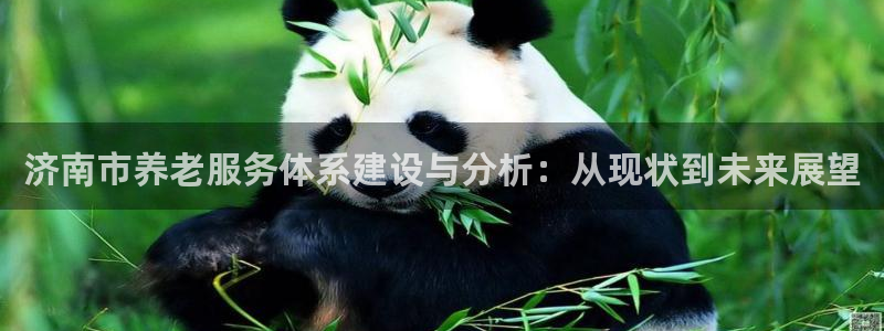 韦德1946最新网站