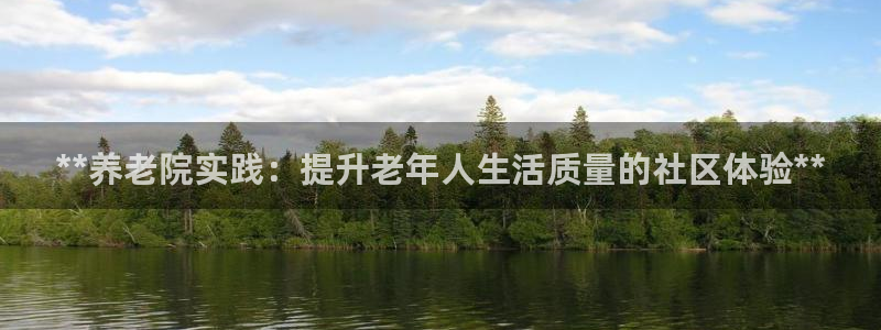 韦德网站是多少