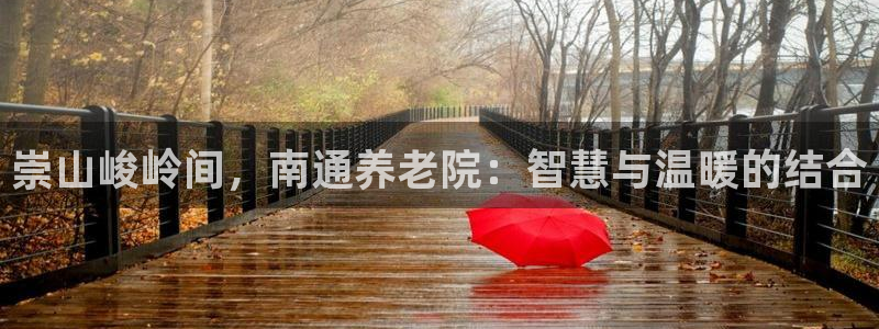 韦德1946手机