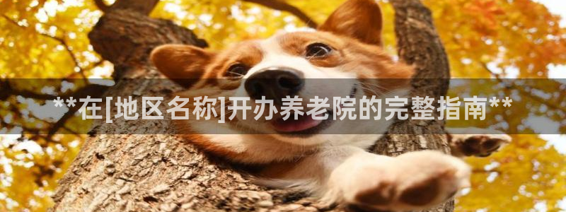 1946韦德网站