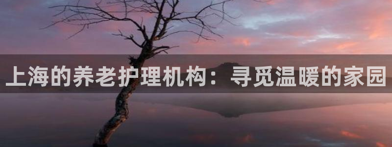 韦德官方网址