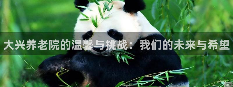 韦德国际体育