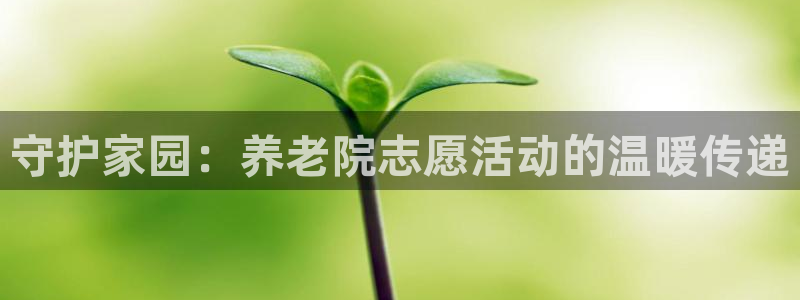 韦德游戏网址