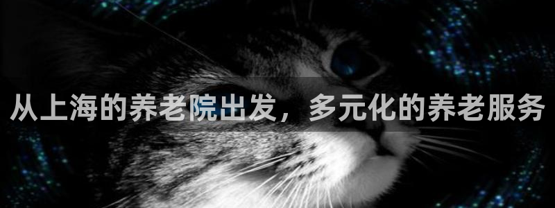 韦德1946网址