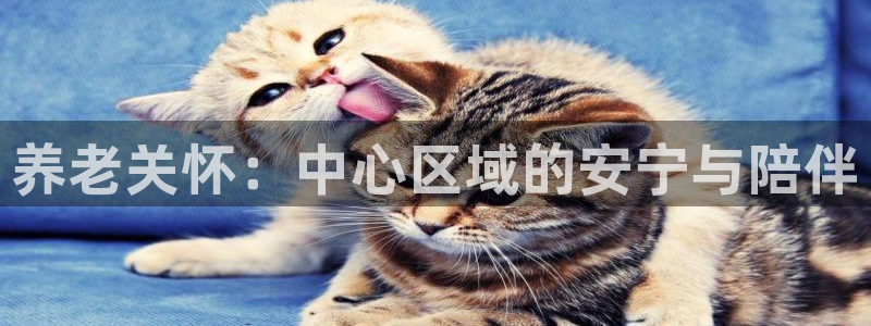 1946韦德网站
