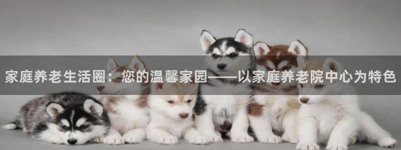 韦德1567