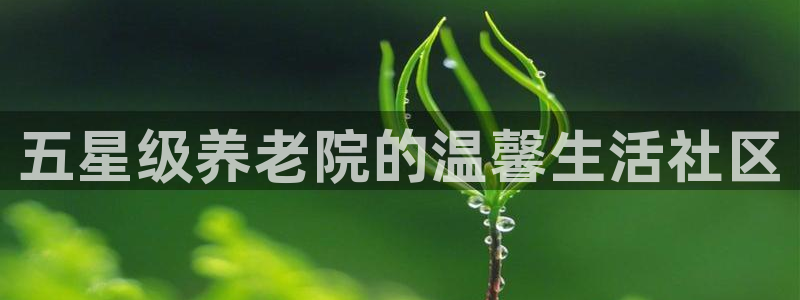 韦德1946博客