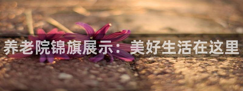 韦德bietview官网