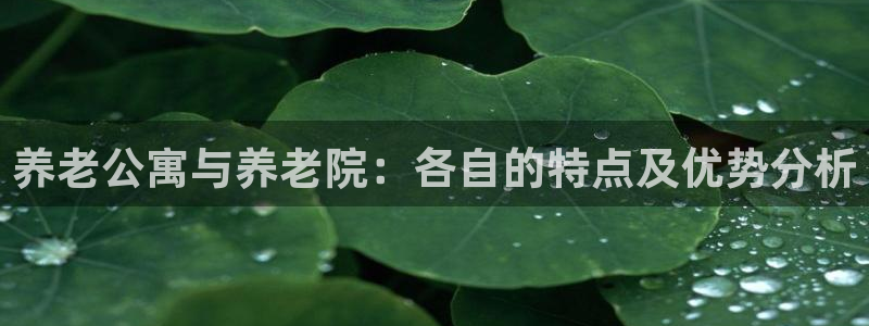 1946韦德找回密码