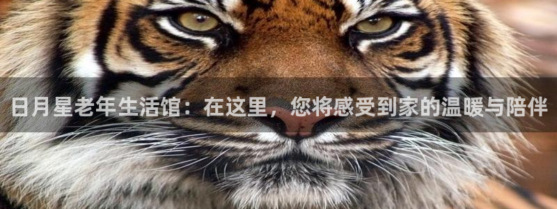 韦德下载