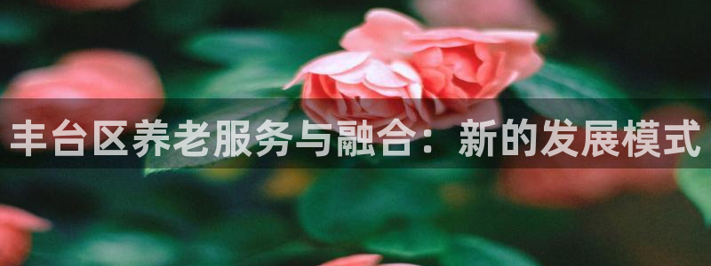 韦德1946国际娱乐