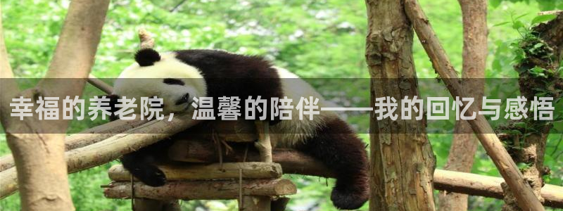 1946韦德官方网站