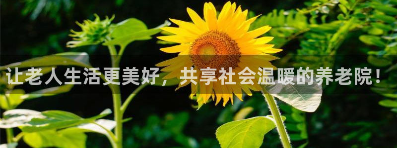 1946韦德找回密码