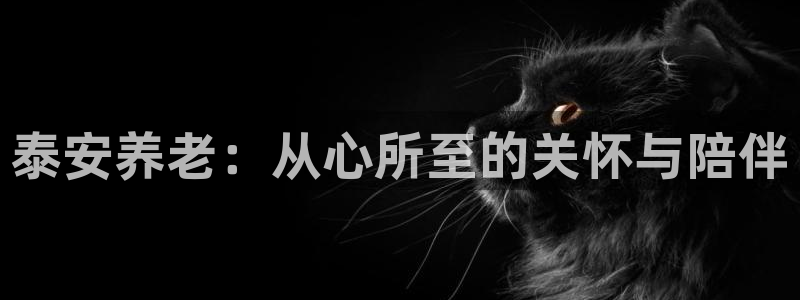 韦德观战总决赛G3