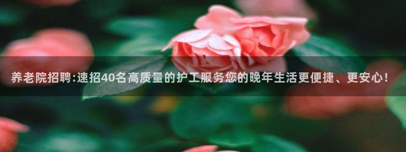韦德1946始于英国
