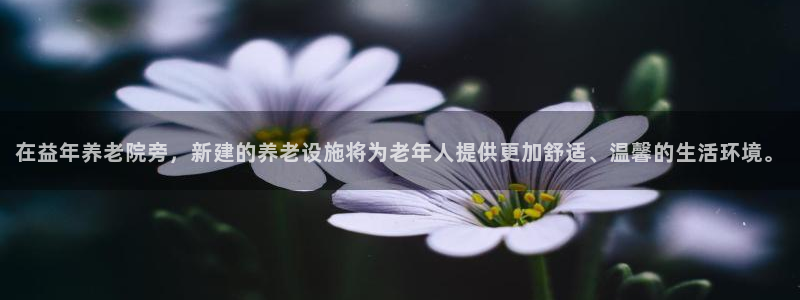 韦德1946源自英国