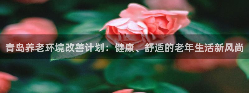韦德1946中文官网
