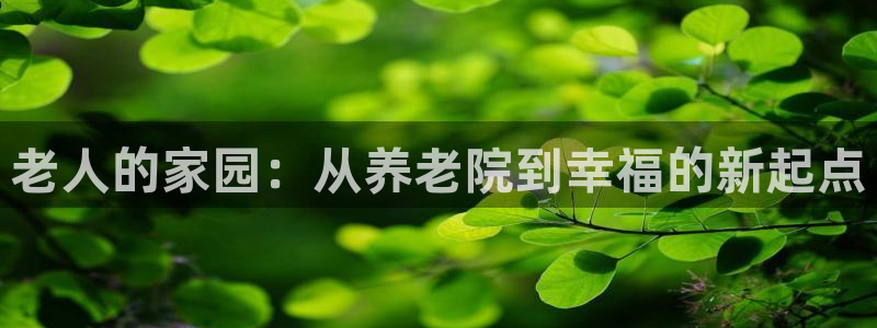 韦德国际1946官网