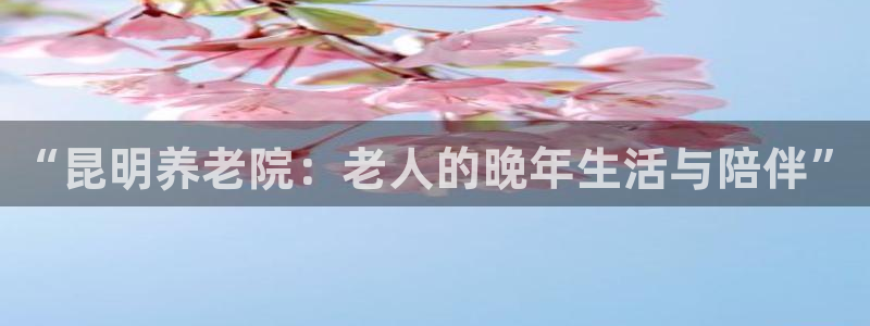 韦德 官网