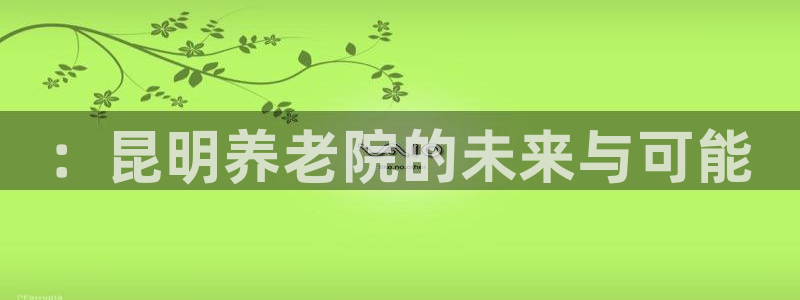 韦德2014