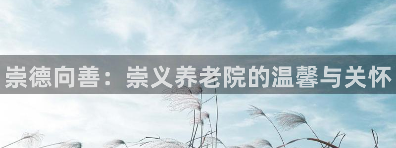 韦德 网站