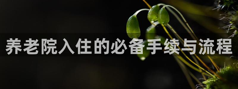 韦德1567