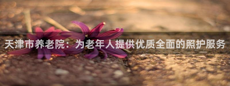 韦德的地位