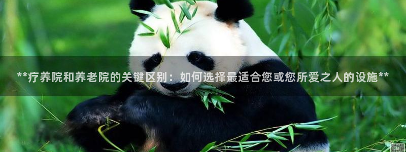 韦德网站是多少