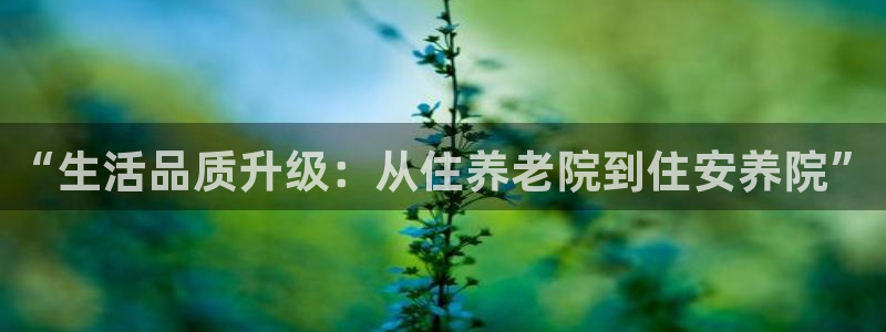 韦德属于什么