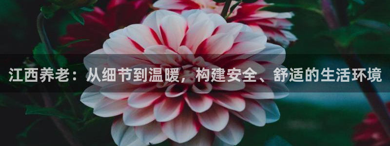 韦德app手机下载