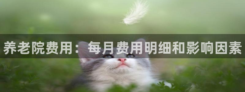 韦德游戏注册是搞什么的