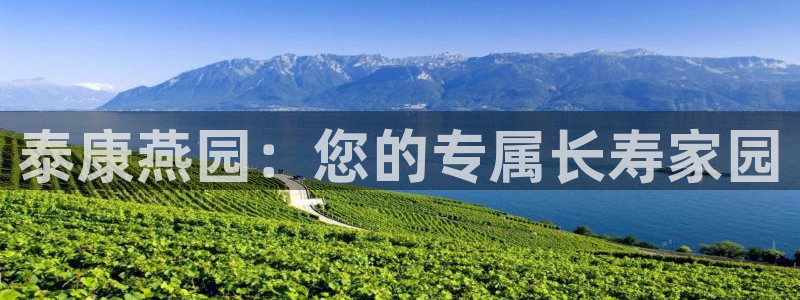 韦德官网注册推荐网站是什么