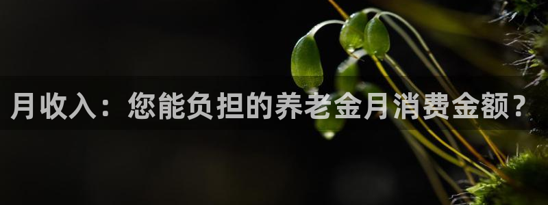 韦德观战总决赛G3