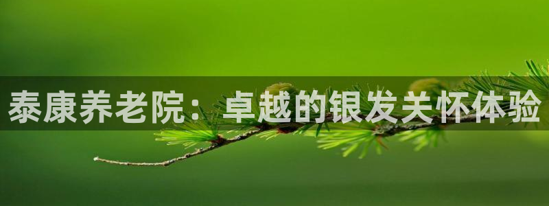 韦德官网注册推荐网站是什么