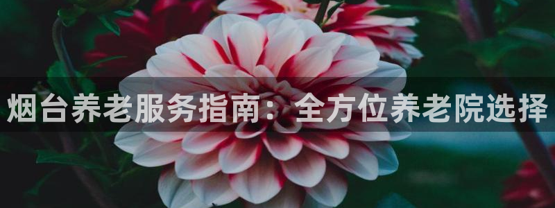 1946韦德找回密码